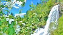 HARDANGER FJORD AND VOSS: Short private roundtrip, 8-9 hours