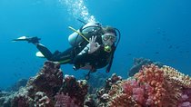 Diving Antalya Kemer