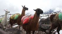 Lares Trek to Machu Picchu (5 Days)