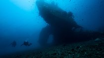 Day Trip certified divers - 3 Dives in Tulamben (pick-up & drop-off included)