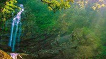 Sinharaja Bird Watching Day Tour from Colombo