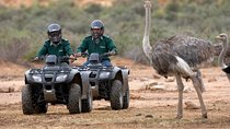 Cape Town Adventure Tours