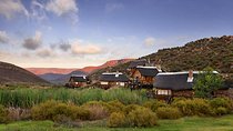 Aquila Wildlife Safari Tour