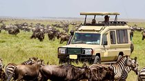 12-Day Best Kenya and Tanzania Budget Safari from Nairobi