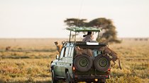 6-Day Best Kenya Safari: Samburu, Lake Nakuru & Masai Mara Park