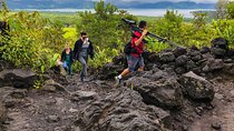 Witness the Spectacular Arenal Volcano on a Guided Hiking Tour