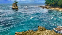 Gandoca - Manzanillo Trail & Great Green Macaw Tour
