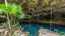 Spider Monkey, Coba and Cenote