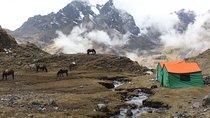 Lares Tour to Machu Picchu (8 Days)