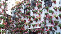 Cordoba private tour from Seville including the great Mosque for up to 8 persons