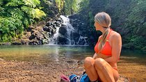 4 Hour Half Day Island Jeep Tour
