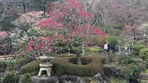 Kamakura flower tour