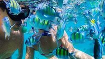 Bali Snorkeling at Blue Lagoon include private transport