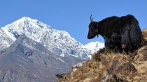  Pikey Peak Trek Everest View