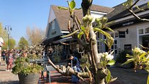 Bicester Village Private Guided Shopping Experience 