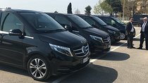 Naples private driver full day