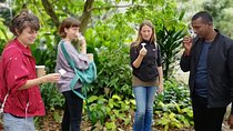 Durban in a Moment: Botanical Gardens, Tribal Museums & Traditional Markets