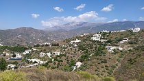 Discover boutique wineries and white washed villages with Andalucian lunch