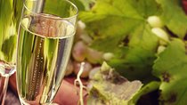Day trip from Milan: Franciacorta, a paradise for wine lovers! - private tour