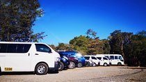 Direct Shared Shuttle from San Jose & Juan Santamaria Airport to Monteverde