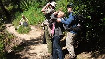 Birdwatching day in the Monchique hills