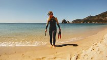 Arrábida Snorkeling & Wine 