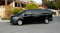 Port and Cruise Port transfers