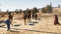 11 Days 10 Nights Ouzoud_Marrakech_Desert_Fez_Chouen_Casablanca