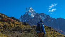 Mardi Trek