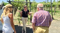Pompeii with lunch and Wine tasting