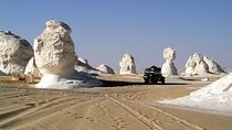  2 Days White Desert and Bahariya Oasis Tour