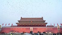 Private Beijing Highlights Day Tour with Kungfu Show and Lunch
