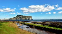 Full Day Customizable Jeju Private Tour with licensed tour guide