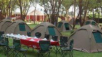 2 Days Guided Tour in Tarangire and Ngorongoro Crater