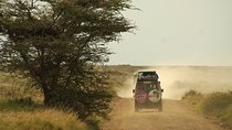 14 Day Rwanda, Tanzania & Kenya : Gorillas, Serengeti Safari 