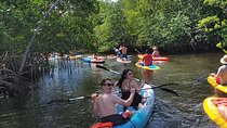 Island City ECO Paddle and Lesson to 9.3 Acre Nature Preserve 