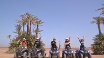 Enjoy a thrilling camel ride through the Palm Grove of Marrakech