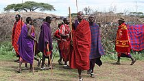 2 Days Private Tour to Ngorongoro and Tarangire National Park