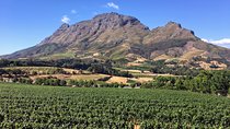 Wine tasting - Boutique farms