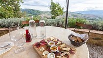 Wine Cheese and EVO Oil Tastings Full-Day Tour from Florence