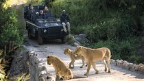 Safari Tour of Kruger National Park(3 Days + Accommodation)