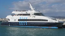 ( Cape Town Private Tour Full-Day ) Robben Island and Cape Peninsula Penguins 