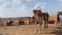 Marrakech: Agafay Desert and Pool Day Pass with Lunch + Camel
