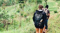 Private Tour of Lake Duluti with Lunch