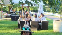 Robben Island Museum + Constantia Wineries including Fery Ticket 