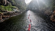 Garden Route (Knysna, Oudsthoorn, - Sightseeing 4 star