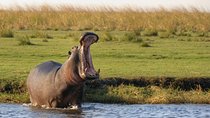 Game Drive in the Mosi-oa-Tunya National Park from Livingstone