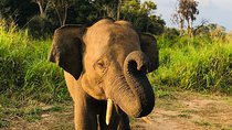 Hurulu Eco Park Half Day Safari 