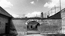 Private luxury tour of Terezin Nazi WWII Camp with Castle & Lunch
