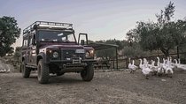 Night safari and aperitif near Florence